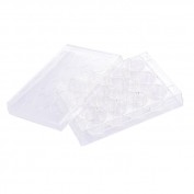 ABDOS 12-Well Cell Culture Plate, Flat, TC, Sterile 	 