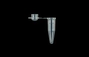 0.2ml PCR Tube, domed cap