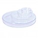 ABDOS 150mm Cell Culture Dish, TC, Sterile, 5s